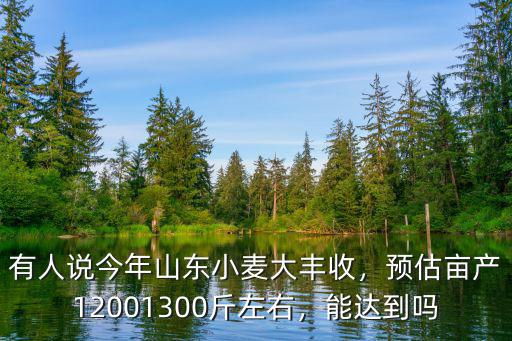 有人說今年山東小麥大豐收，預估畝產12001300斤左右，能達到嗎