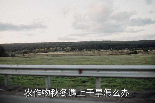 廣東農村干旱怎么辦,廣東今年為何如此高溫干旱