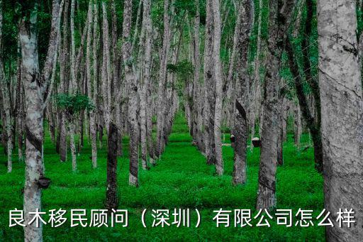 深圳普海顧問有限公司怎么樣,良木移民顧問