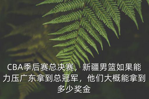 CBA季后賽總決賽，新疆男籃如果能力壓廣東拿到總冠軍，他們大概能拿到多少獎金