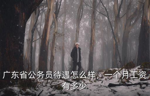 廣東省珠海市國稅待遇怎么樣,廣東省公務員待遇怎么樣