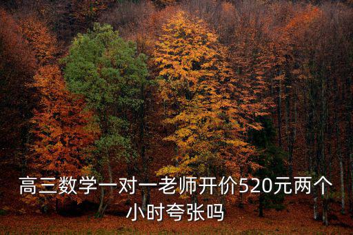 高三數(shù)學一對一老師開價520元兩個小時夸張嗎