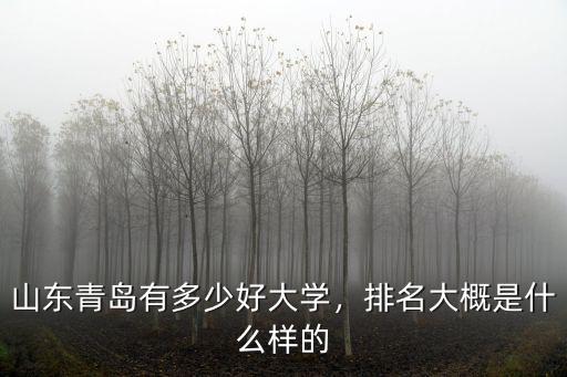 山東青島有多少好大學，排名大概是什么樣的