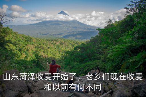 山東菏澤收麥開始了，老鄉(xiāng)們現(xiàn)在收麥和以前有何不同