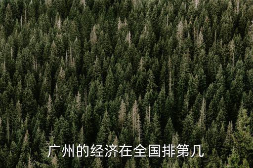 廣州的經(jīng)濟在全國排第幾