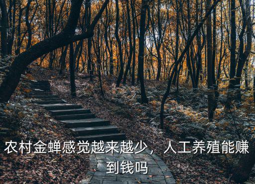 臨沂人工金蟬養殖多少錢,人工養殖能賺到錢嗎