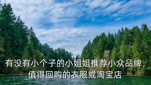 有沒有小個子的小姐姐推薦小眾品牌，值得回購的衣服或淘寶店