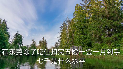 東莞6000扣五險(xiǎn)一金剩多少,在東莞長安扣除五險(xiǎn)一金
