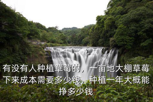 有沒有人種植草莓的，一畝地大棚草莓下來成本需要多少錢，種植一年大概能掙多少錢