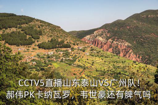 山東泰山和廣州隊比賽在哪里踢,就泰山隊和廣州隊的比賽
