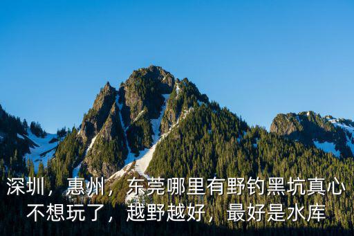 深圳，惠州，東莞哪里有野釣黑坑真心不想玩了，越野越好，最好是水庫