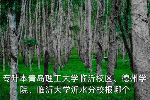 臨沂大學沂水分校多少學生,臨沂大學分校怎么樣