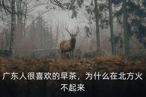 廣東人很喜歡的早茶，為什么在北方火不起來