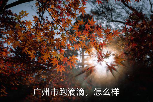 廣州市跑滴滴，怎么樣