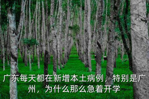 廣東每天都在新增本土病例，特別是廣州，為什么那么急著開學