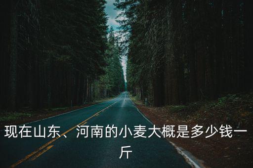 棗莊小麥最新收購價多少錢一斤,河南的小麥大概是多少錢一斤