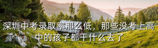 深圳中考錄取率那么低，那些沒考上高中的孩子都干什么去了
