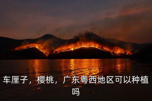 車?yán)遄樱瑱烟遥瑥V東粵西地區(qū)可以種植嗎