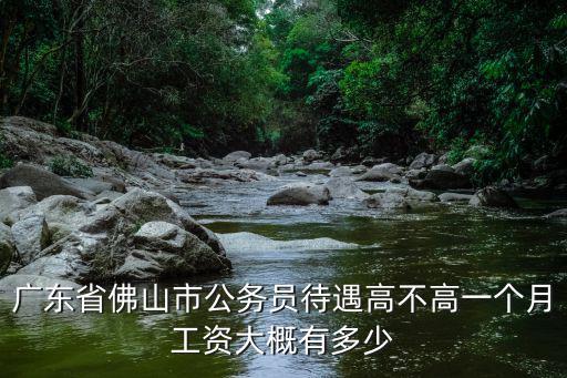 佛山市公務(wù)員年薪多少,佛山正科級(jí)公務(wù)員年薪多少