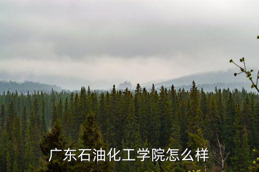 廣東石油化工學院藝術系怎么樣,廣東石油化工學院怎么樣