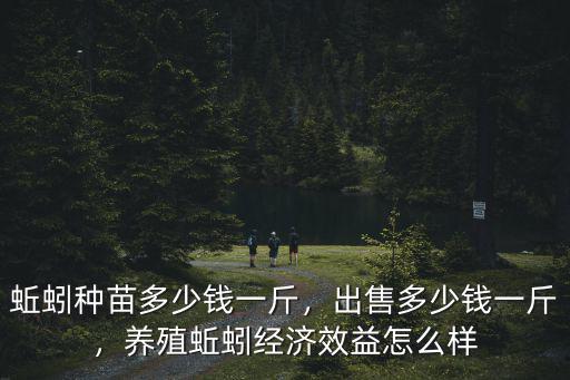 地龍價(jià)格多少錢一斤廣東,蚯蚓種苗多少錢一斤