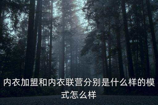 內衣加盟和內衣聯營分別是什么樣的模式怎么樣