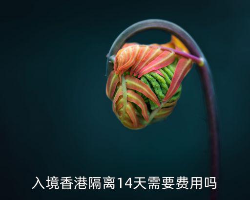 入境香港隔離14天需要費(fèi)用嗎