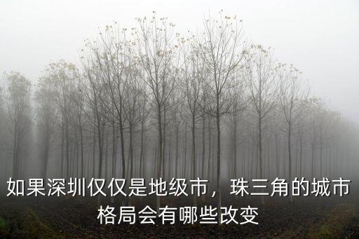 深圳市是怎么變成市的,如果深圳僅僅是地級市