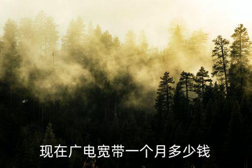 現在廣電寬帶一個月多少錢