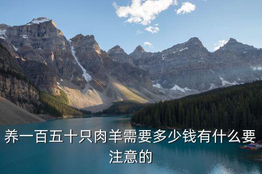 養(yǎng)一百五十只肉羊需要多少錢有什么要注意的