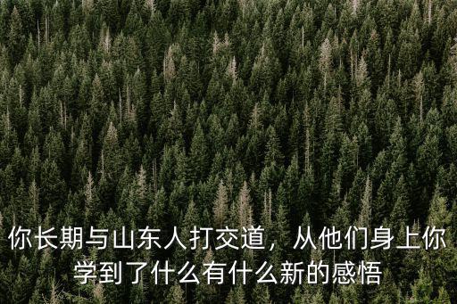 你長期與山東人打交道，從他們身上你學到了什么有什么新的感悟