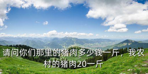 汕尾梅隴豬肉多少錢一斤,我農村的豬肉20一斤
