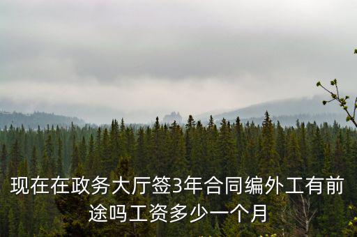 現(xiàn)在在政務(wù)大廳簽3年合同編外工有前途嗎工資多少一個月
