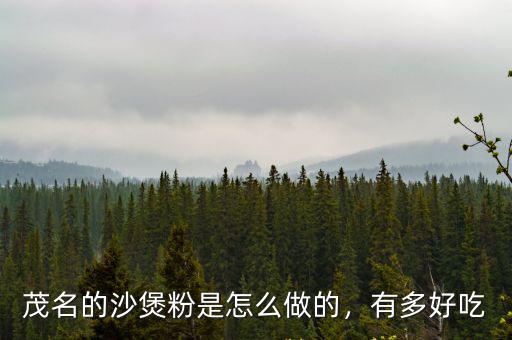 茂名的沙煲粉是怎么做的，有多好吃