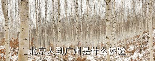 北京人到廣州是什么體驗