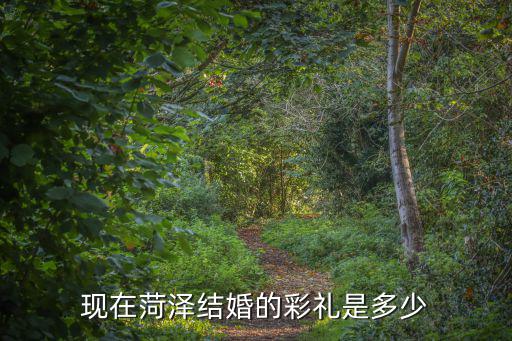 現(xiàn)在菏澤結(jié)婚的彩禮是多少