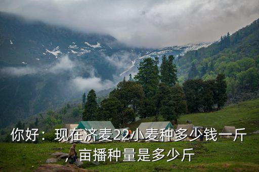 濟(jì)寧汶上小麥多少錢一斤,小麥價(jià)格現(xiàn)在多少錢一斤