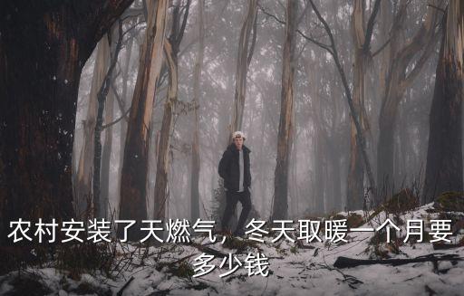 農村安裝了天燃氣，冬天取暖一個月要多少錢