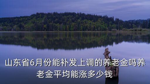 山東養(yǎng)老金的定額是多少,養(yǎng)老金平均能漲多少錢