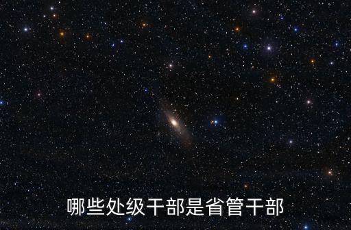 廣東省處級(jí)干部有多少,40歲的副科級(jí)干部