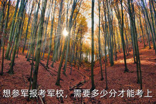 山東省多少名能報考軍校,需要多少分才能考上