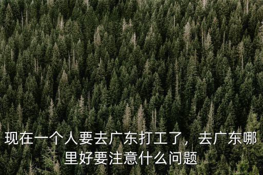 去廣東打工要準備多少錢,現在一個人要去廣東打工了