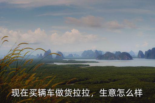 現在買輛車做貨拉拉，生意怎么樣