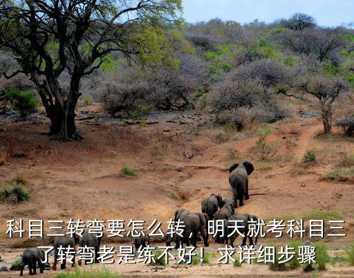 科目三轉(zhuǎn)彎要怎么轉(zhuǎn)，明天就考科目三了轉(zhuǎn)彎老是練不好！求詳細(xì)步驟