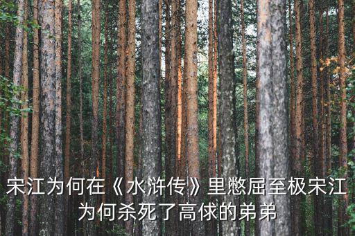 宋江潯陽(yáng)江在哪里,施耐庵筆下的江州究竟在哪里