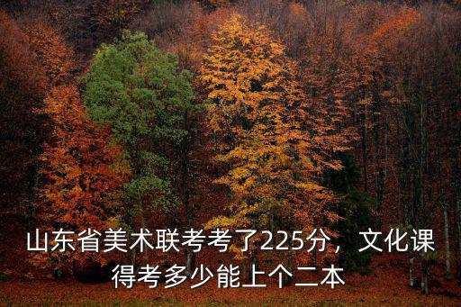山東美術220文化需要多少,文化課得考多少能上個二本