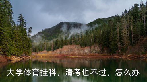 大學(xué)體育掛科，清考也不過(guò)，怎么辦