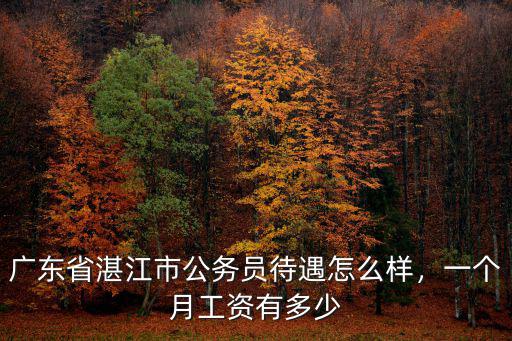 廣東省湛江市公務(wù)員待遇怎么樣，一個月工資有多少