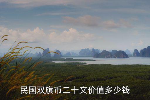 廣東造雙旗開國紀念幣值多少錢,請問這枚雙旗幣能值多少錢