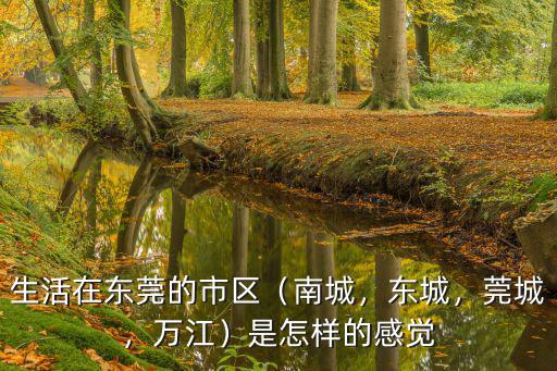 生活在東莞的市區(qū)（南城，東城，莞城，萬江）是怎樣的感覺